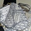 IMG_1925 Bolso Bandolera Christian Dior Saddle 2